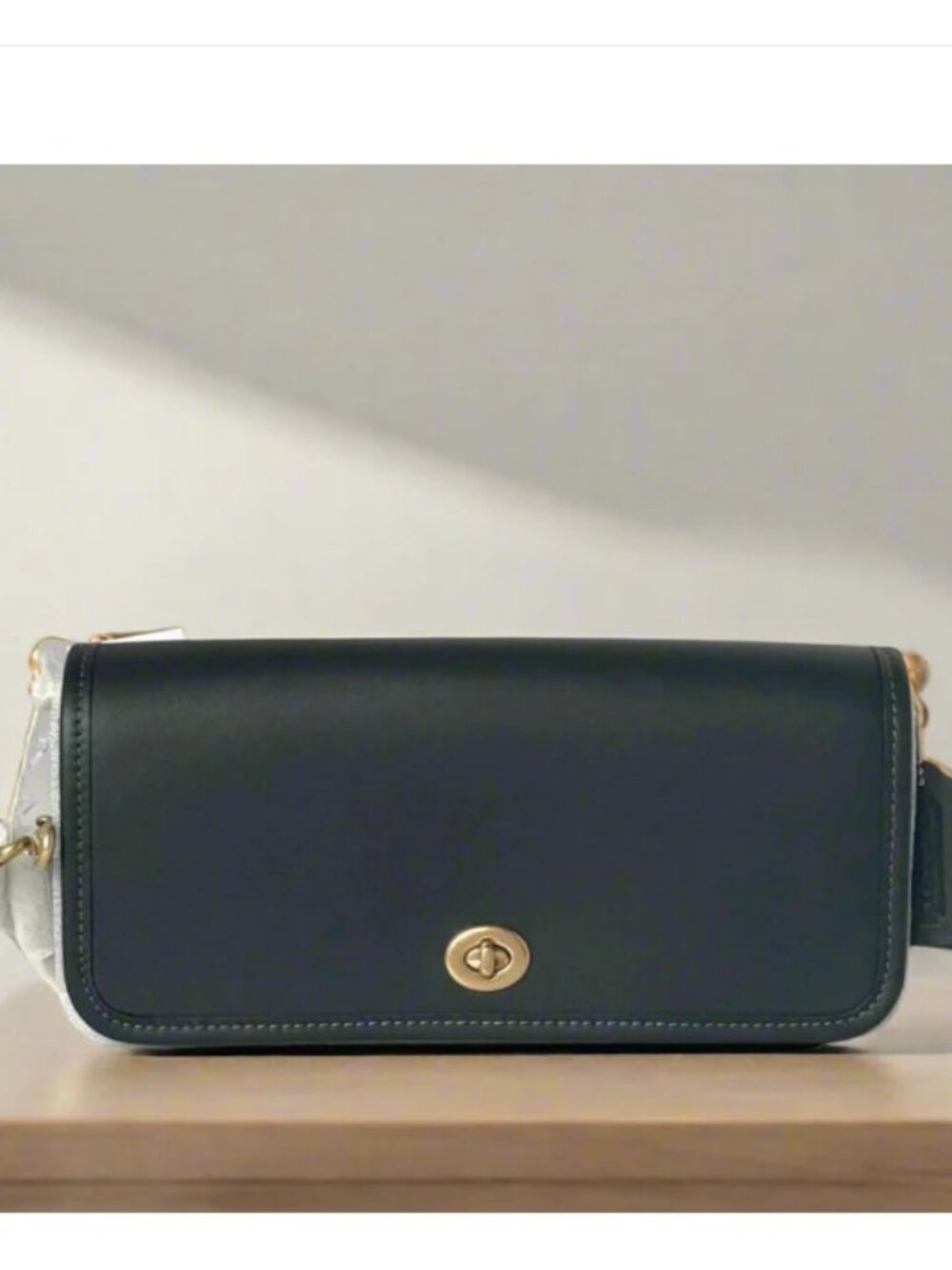Coach Dinky Black Glovetanned Leather Shoulder Bag Gold Chain Strap CW641